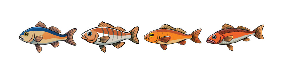 Set of Basslet Fish with Attractive Realistic Colors