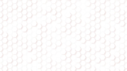 Hexagon Beehive honeycomb pattern wall black and white, A honey comb with a mesh texture and a beehive with hexagonal honeycombs.