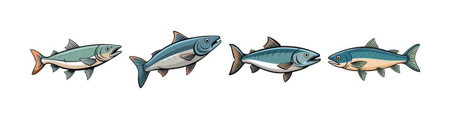 Set of Chum Salmon with Stunning Realistic Coloration