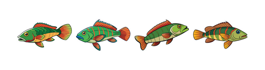 Set of Stunning Dragon Wrasse Colorful Artwork