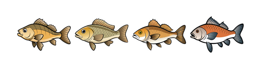 Set of Impressive Freshwater Drum in Vibrant Aquatic Art