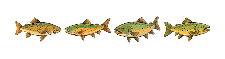 Set of Unique Gila Trout Illustration Featuring Realistic Colors