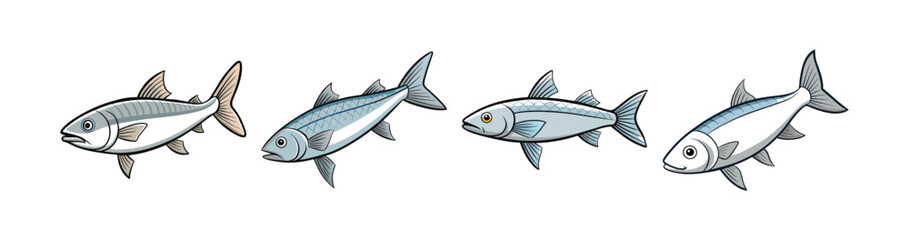 Fototapeta premium Set of Grey Mullet with Stunning Realistic Features