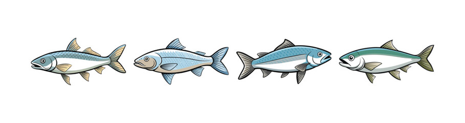 Set of Realistic Lake Whitefish Colorful Illustration