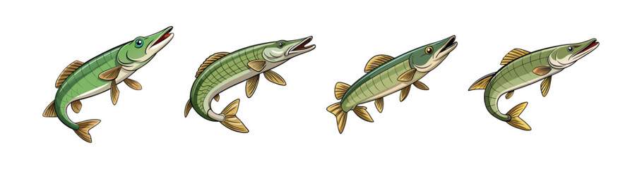 Set of  Muskellunge Fish Illustration with Stunning Realistic Features
