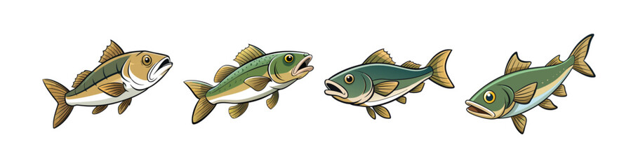 Set of  Realistic Pacific Cod Fish Illustration with Vibrant Detail