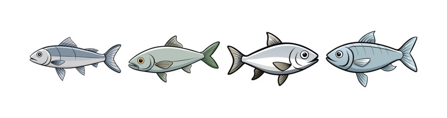 Set of Charming Silverside Fish Illustration with Vibrant Colors