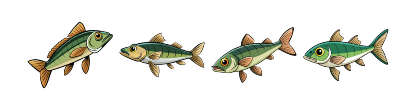 Set of Charming Stickleback Fish Illustration with Unique Features