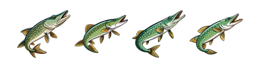 Set of  Realistic Wading Pike Fish Illustration Featuring Bright Colors