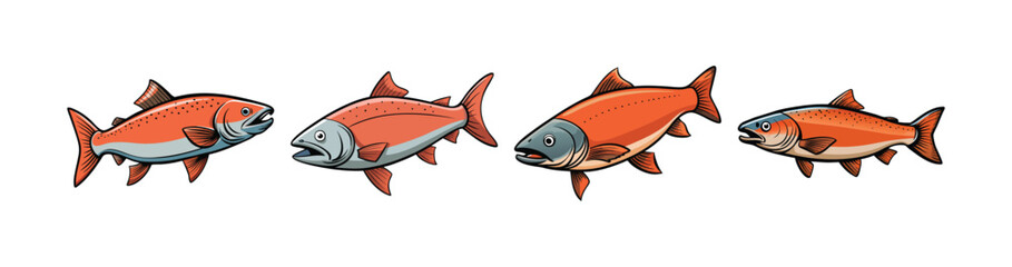 Set of Realistic Watermark Salmon Illustration with Detailed Features