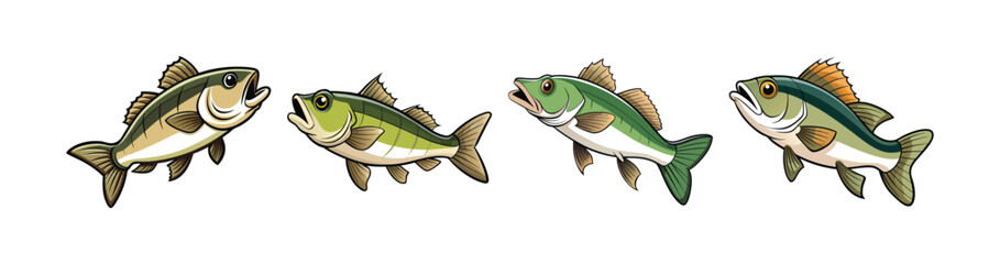 Set of Vibrant Waterrise Bass Illustration with Realistic Elements