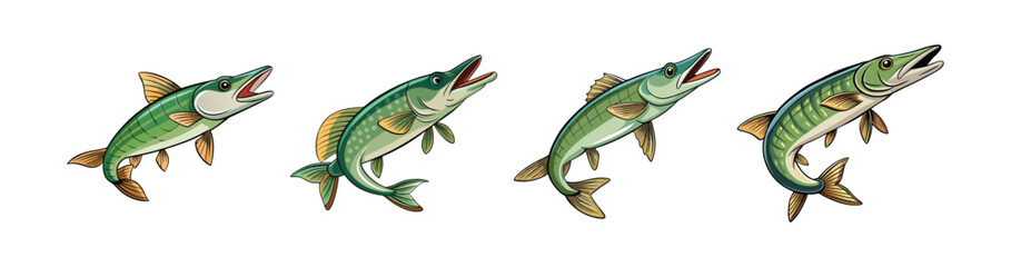 Set of Charming Wavedancer Pike Illustration with Realistic Features
