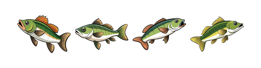 Set of  Wavelength Bass Fish Realistic Illustration with Bright Colors