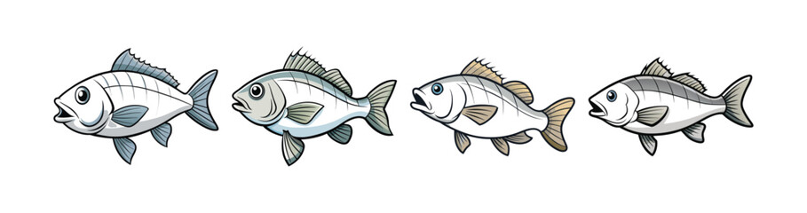 Set of  White Bass Realistic Illustration with Vibrant Features