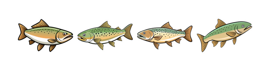 Set of  Realistic Whitecleft Trout Illustration Highlighting Bright Colors