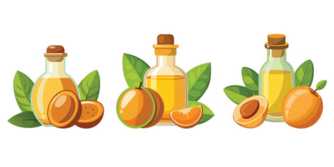 Apricot Kernel Oil Bottles and Fruits Natural Product, a small glass bottle of argan oil, argan oil with fruits and leaves vector illustration