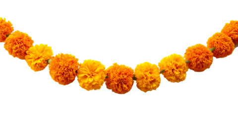 marigold flower garland displayed against  isolated on white background PNG,AI GENERATED ON WHITE BACKGROUND