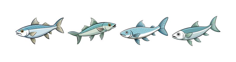 Set of  Realistic Whitehooked Mullet Fish Illustration