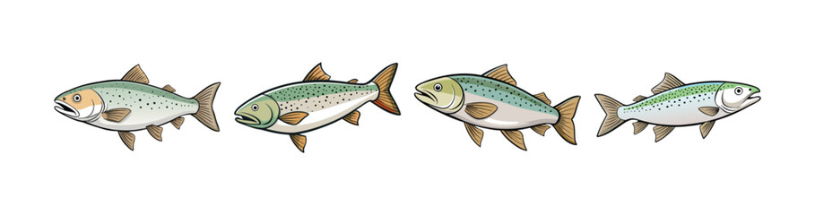 Set of  White Trout Realistic Illustration Featuring Bright Detail