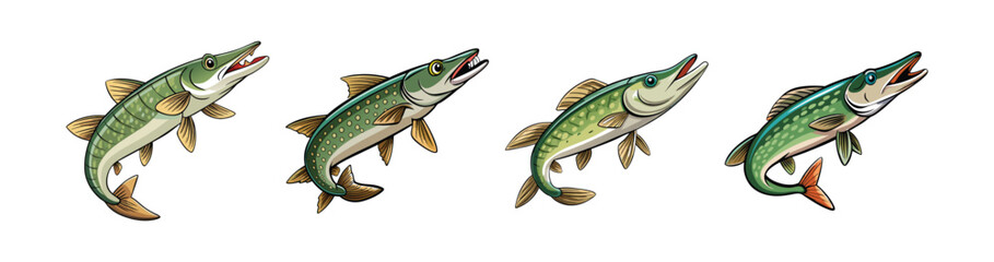 Set of Dynamic Wildtail Pike Illustration with Intricate Details