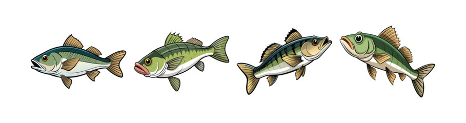 Set of Vivid Winterwhisker Bass Fish Realistic Art