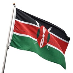 flag of united Arab emirates