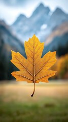 Fototapeta premium Autumn leaf in mountains