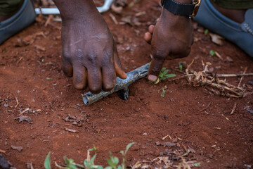 carpenter working on a wooden board