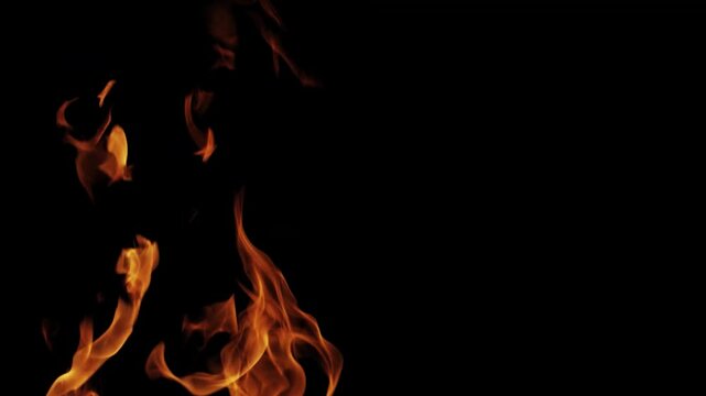 Burning flames from start to finish with ProRes codec Isolated by Alpha channel, a close-up of a simulated fiery fire burning with the colors of real flames