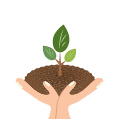 手の中にある植物のイメージイラスト
