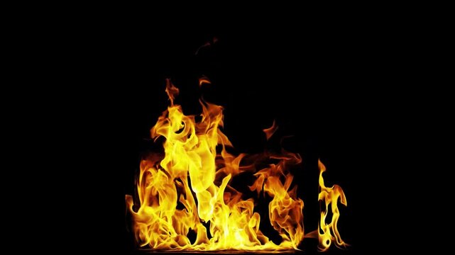 Burning flames from start to finish with ProRes codec Isolated by Alpha channel, a close-up of a simulated fiery fire burning with the colors of real flames