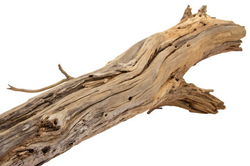 Fototapeta premium Piece of Natural Driftwood on a Plain Background.
