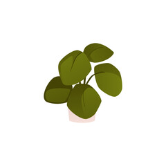 Green plant with big leaves in white pot vector flat icon, houseplant for interior design, floral interior decoration