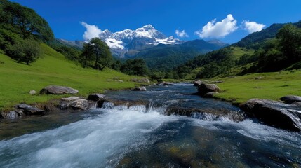 Mountain stream cascading through lush valley, snowy peak in background