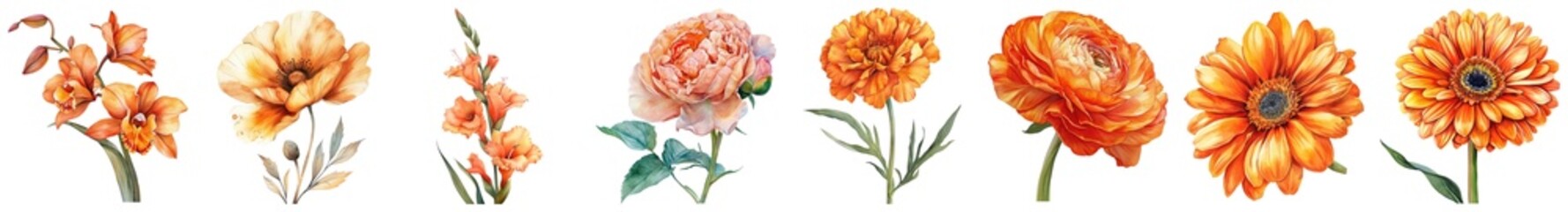 Vibrant Collection of Orange and Yellow Flowers with Green Leaves for Creative Design Projects