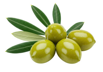 Obraz premium A close-up of green olives attached to a small olive branch with vibrant green leaves isolated on transparent background