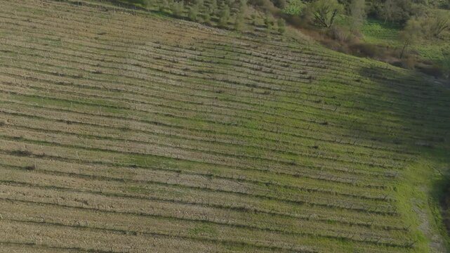 Stunning Drone Footage of Olive Farms, Vineyards and quant villages in Tuscany, Italy during a sunny spring day 