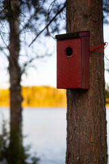 birdhouse on a tree