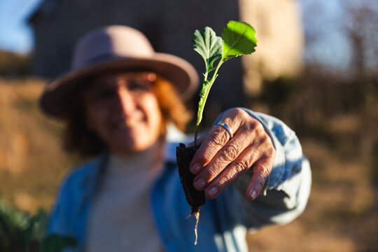 Gardener Holding Seedling in a Sunny Outdoor Setting in Barcelona