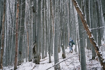 Snowboarder walking in winter forest
