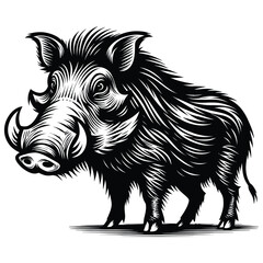 black-and-white warthog vector 