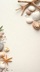 Minimalist seashell arrangement on smooth sand, vertical format with soft natural shadows. 