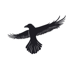 eagle vector illustration