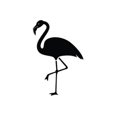 flamingo silhouette isolated on white