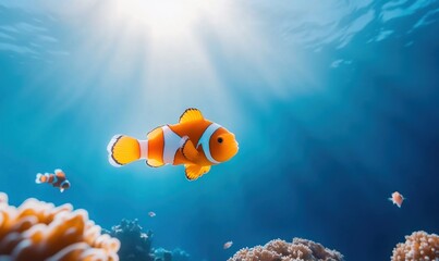 Clownfish swimming among coral reef