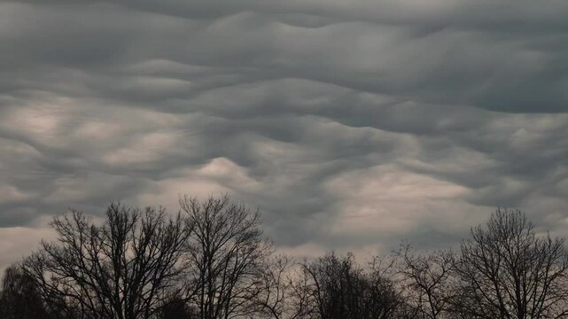 Striking undulatus asperatus clouds roll dramatically across the sky above silhouettes of leafless winter trees, creating a surreal and moody atmosphere. Includes copy space.