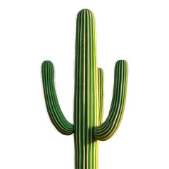 Tall Green Cactus | Desert Plant Isolated on White Background