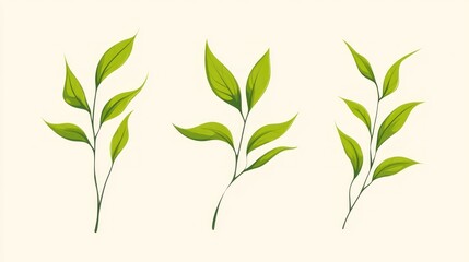 Green leaves, botanical illustration, isolated, design element, nature background, for website or print