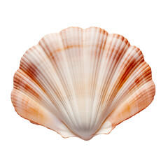 Obraz premium Coconut Milk Jelly Dessert | Cubes of Sweet Pudding with Leaf Garnish