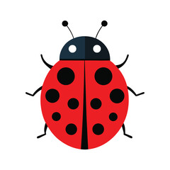 A colorful ladybug vector art illustration © rajib